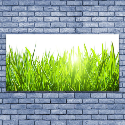 Glasbild aus Plexiglas® Gras Natur