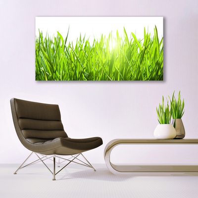 Glasbild aus Plexiglas® Gras Natur