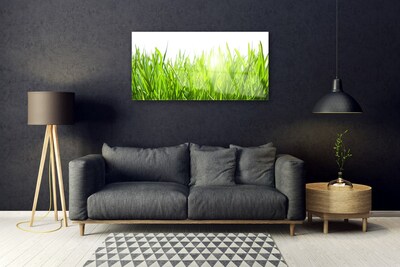 Glasbild aus Plexiglas® Gras Natur