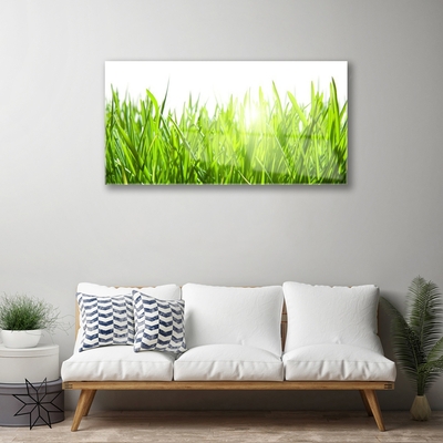 Glasbild aus Plexiglas® Gras Natur