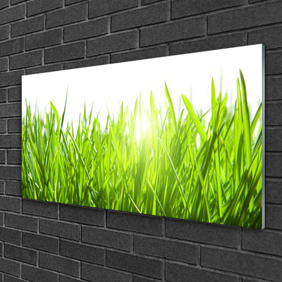 Glasbild aus Plexiglas® Gras Natur