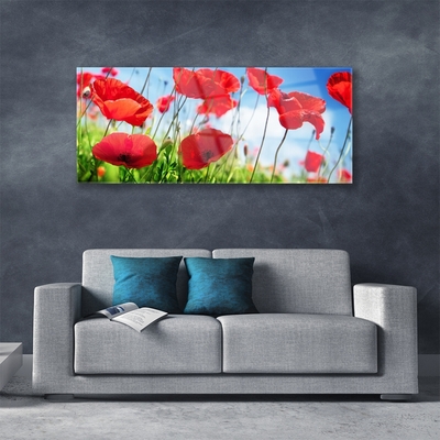 Glasbild aus Plexiglas® Mohnblumen Gras Natur