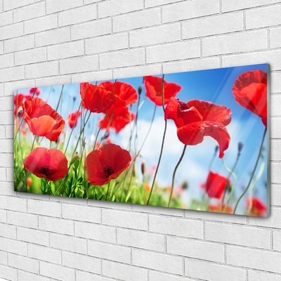 Glasbild aus Plexiglas® Mohnblumen Gras Natur