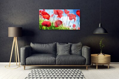 Glasbild aus Plexiglas® Mohnblumen Gras Natur