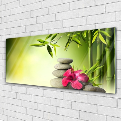 Glasbild aus Plexiglas® Bambusrohre Blume Steine Pflanzen