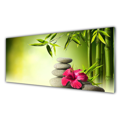 Glasbild aus Plexiglas® Bambusrohre Blume Steine Pflanzen