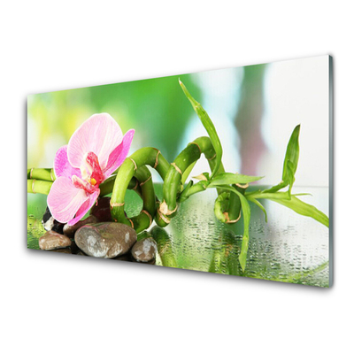 Glasbild aus Plexiglas® Bambusrohr Blume Steine Natur