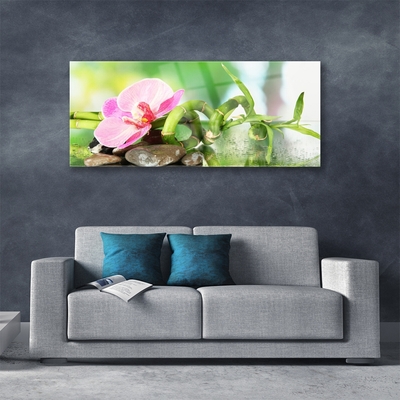 Glasbild aus Plexiglas® Bambusrohr Blume Steine Natur