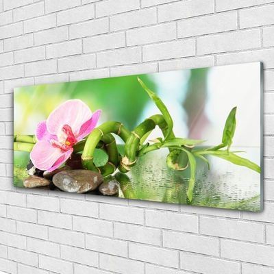 Glasbild aus Plexiglas® Bambusrohr Blume Steine Natur