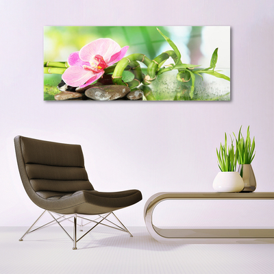 Glasbild aus Plexiglas® Bambusrohr Blume Steine Natur