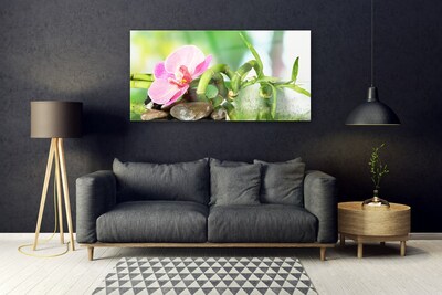 Glasbild aus Plexiglas® Bambusrohr Blume Steine Natur