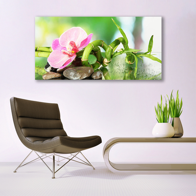 Glasbild aus Plexiglas® Bambusrohr Blume Steine Natur