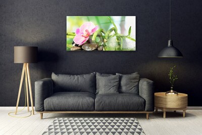 Glasbild aus Plexiglas® Bambusrohr Blume Steine Natur