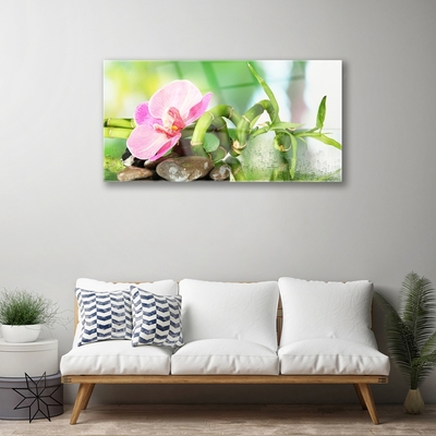 Glasbild aus Plexiglas® Bambusrohr Blume Steine Natur