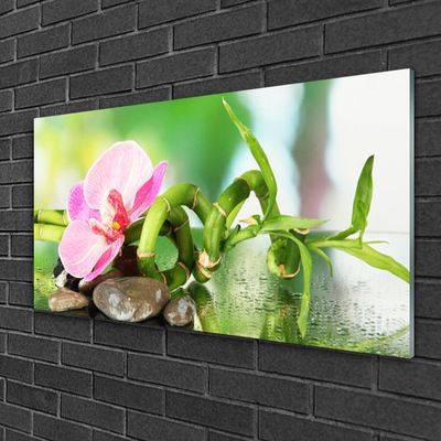 Glasbild aus Plexiglas® Bambusrohr Blume Steine Natur