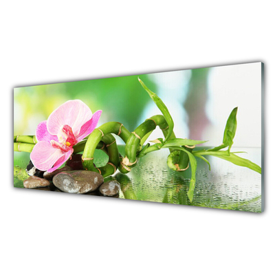 Glasbild aus Plexiglas® Bambusrohr Blume Steine Natur