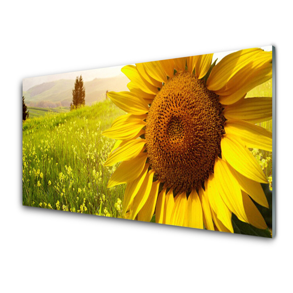 Glasbild aus Plexiglas® Sonnenblume Pflanzen