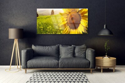 Glasbild aus Plexiglas® Sonnenblume Pflanzen