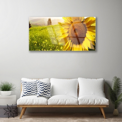 Glasbild aus Plexiglas® Sonnenblume Pflanzen