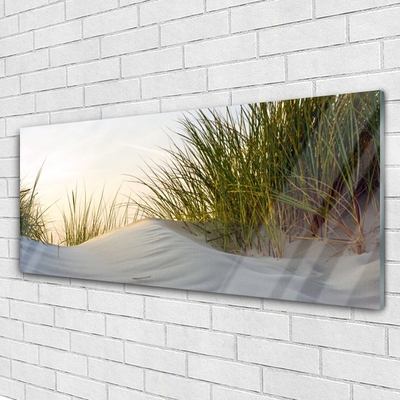 Glasbild aus Plexiglas® Sand Gras Landschaft