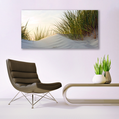 Glasbild aus Plexiglas® Sand Gras Landschaft