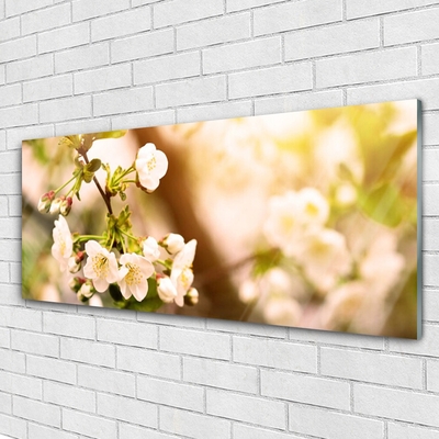 Glasbild aus Plexiglas® Blumen Pflanzen