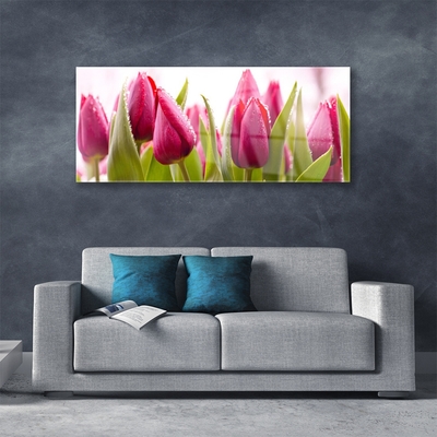 Glasbild aus Plexiglas® Tulpen Pflanzen