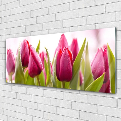 Glasbild aus Plexiglas® Tulpen Pflanzen