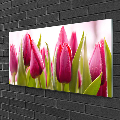 Glasbild aus Plexiglas® Tulpen Pflanzen