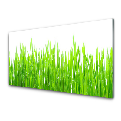 Glasbild aus Plexiglas® Gras Natur