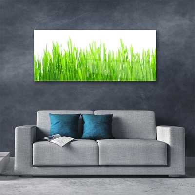 Glasbild aus Plexiglas® Gras Natur