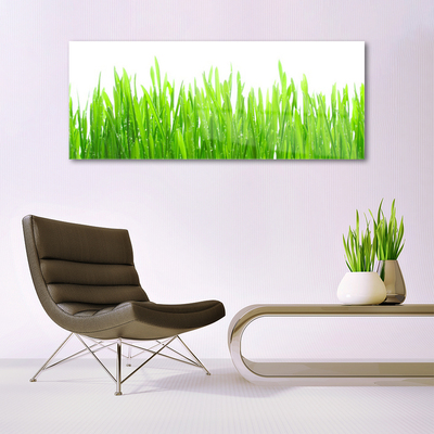 Glasbild aus Plexiglas® Gras Natur