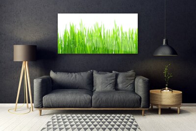 Glasbild aus Plexiglas® Gras Natur