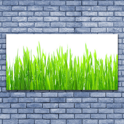 Glasbild aus Plexiglas® Gras Natur