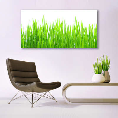 Glasbild aus Plexiglas® Gras Natur