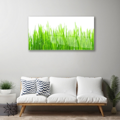 Glasbild aus Plexiglas® Gras Natur