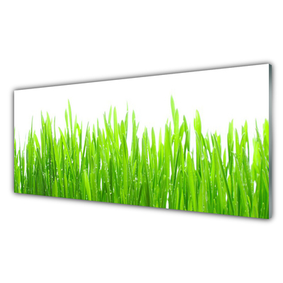 Glasbild aus Plexiglas® Gras Natur