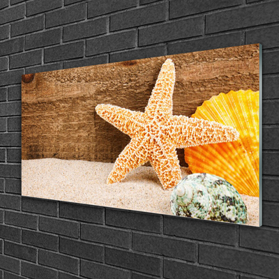 Glasbild aus Plexiglas® Sand Seestern Muscheln Kunst