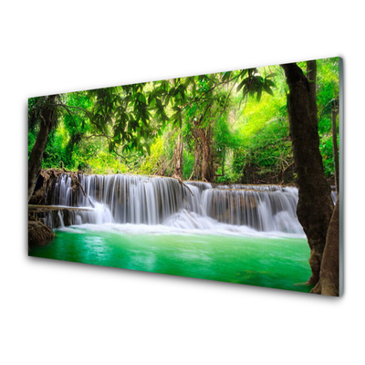 Glasbild aus Plexiglas® Wasserfall See Wald Natur