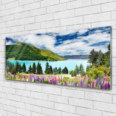 Glasbild aus Plexiglas® Gebirge Wald See Wiese Landschaft