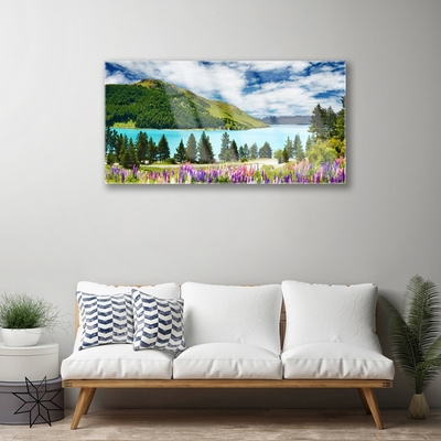 Glasbild aus Plexiglas® Gebirge Wald See Wiese Landschaft