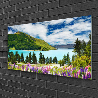 Glasbild aus Plexiglas® Gebirge Wald See Wiese Landschaft