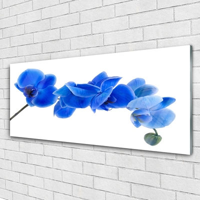 Glasbild aus Plexiglas® Blume Pflanzen