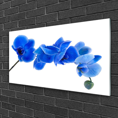 Glasbild aus Plexiglas® Blume Pflanzen