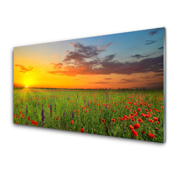 Glasbild aus Plexiglas® Sonne Wiese Blumen Natur