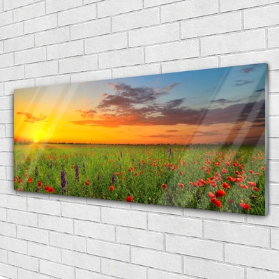 Glasbild aus Plexiglas® Sonne Wiese Blumen Natur