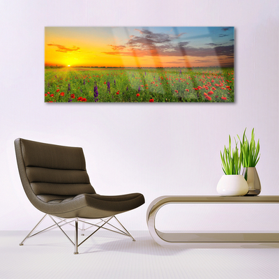 Glasbild aus Plexiglas® Sonne Wiese Blumen Natur