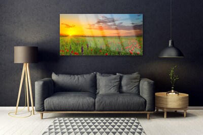 Glasbild aus Plexiglas® Sonne Wiese Blumen Natur