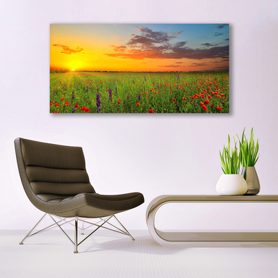 Glasbild aus Plexiglas® Sonne Wiese Blumen Natur