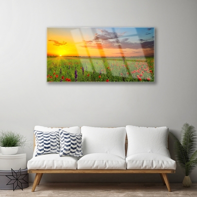 Glasbild aus Plexiglas® Sonne Wiese Blumen Natur